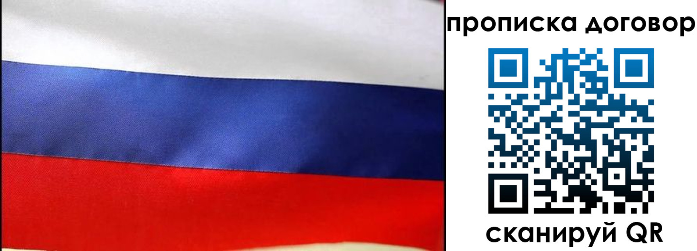 прописка гарантия в Протвино